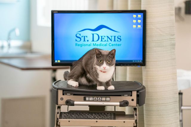 St. Denis Medical – 15.09.2026, 05:05 Uhr