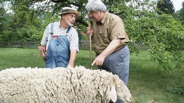 Löwenzahn Classics – Nachbar Paschulke (Helmut Krauss, r.) zeigt Peter Lustig (Peter Lustig, l.) sein neues Schaf. Er fürchtet um dessen Leben, denn seit kurzem ist Wolfsgeheul zu hören.