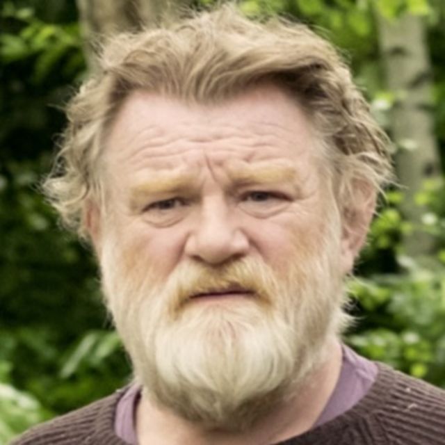 Brendan Gleeson