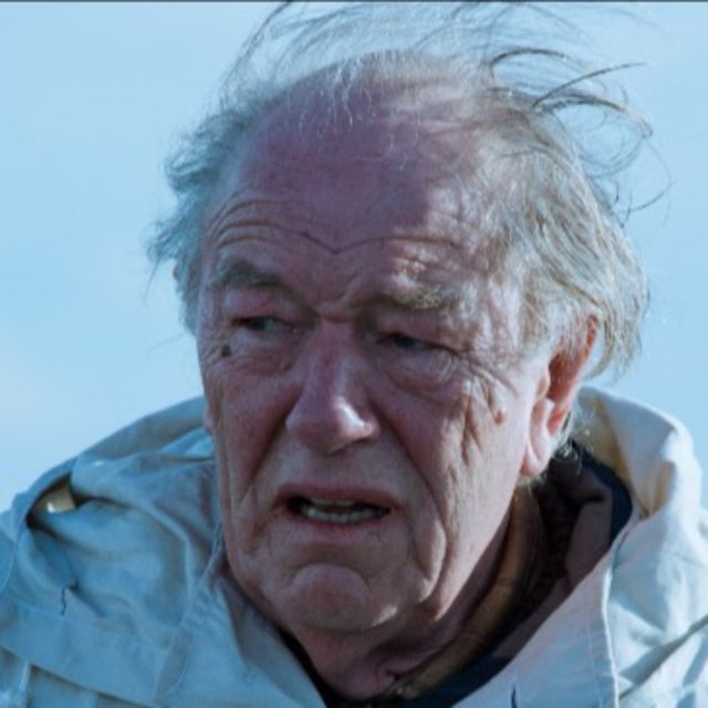 Michael Gambon