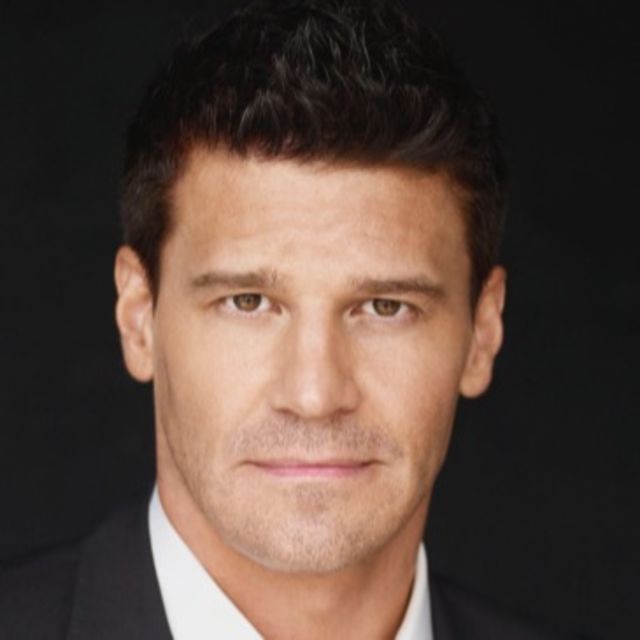 David Boreanaz