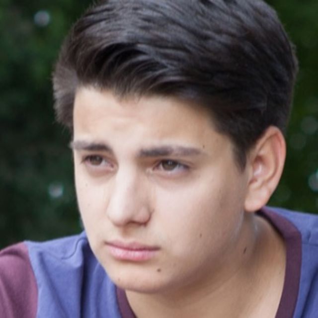 Flavius Budean