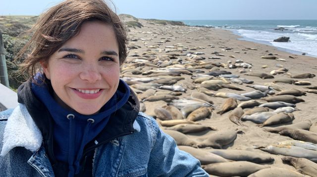 Anna und die wilden Tiere – Anna besucht die See-Elefanten in Piedras Blancas, Kalifornien.