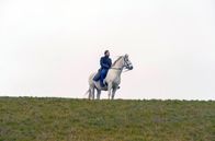 Der Schimmelreiter – Max Hubacher als visionärer Küstenschützer Hauke Haien in einer modernen Adaption von "Der Schimmelreiter" nach Theodor Storms berühmter Vorlage