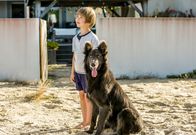 The Last Wave – Thomas (Gaël Raes) hat in einem Straßenhund einen neuen Freund gefunden.