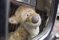 Christopher Robin – Tigger (Jim Cummings voice)