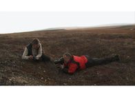 Top Shots – Top Shots Drei Tierfotografen auf Bilderjagd - Wie finden sie die Tiere? Staffel 1, Episode 1 In der kargen Tundra setzt Heiner Kubny (r.) auch seltene Pflanzen ins Bild