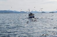 Maritimes Erbe – Fischerboot vor der Küste von der Insel Godøya