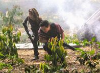 Hawaii Five-0 – Grace Park (Kono Kalakaua), Daniel Dae Kim (Chin Ho Kelly).