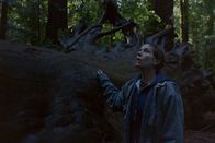 Nomadland – Fern (Frances McDormand)