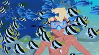 Zoom - Der weiße Delfin – Zoom - Der weiße Delfin (2012-2015)