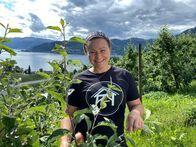 Mittsommer in Norwegen – Die Hänge am Hardangerfjord sind der Obstgarten Norwegens.