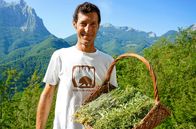 Zu Tisch ... – Gian Luca Guidi sammelt Kräuter in den Bergen der Garfagnana.