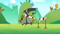 Wolf – Beim Hürdenlaufen sammelt Wolf keine Punkte.