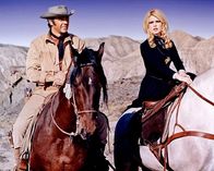 Shalako – Als eine Jagdgesellschaft europäischer Adeliger wie Irina Lazaar (Brigitte Bardot) im wilden Westen in einen tödlichen Hinterhalt gerät, ist der erfahrene Trapper Shalako (Sean Connery) die letzte Rettung.