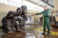 Arme Millionäre – Paul (Sky du Mont) hat einen Job im Zoo ergattert.