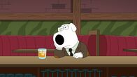 Family Guy – Brian Griffin