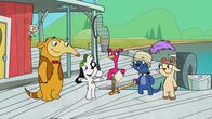Doki – Otter Rico spielt Ritter. Hund Doki freut sich mit dem Rest des Teams.