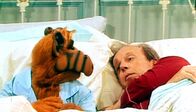 Alf – Alf (1989)