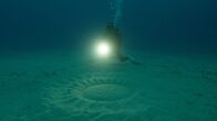 Big Pacific – Rätselhafte Kunstwerke am Meeresgrund vor der japanischen Insel Amami. Sie wurden 1995 entdeckt und erst viele Jahre später kam man dem Designer auf die Spur. Ein kleiner Kugelfisch.