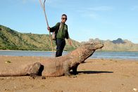 GEO Reportage – David Robert Hau kennt die Komodowarane wie kaum ein anderer. Seit über 30 Jahren ist er Ranger im Nationalpark Komodo.
