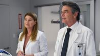 Grey's Anatomy – Zwei Starchirurgen sind sich einig: Ellen Pompeo als Dr. Meredith Grey, Peter Gallagher als Dr. David Hamilton
