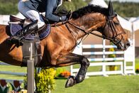Springreiten: Global Champions Tour – Springreiten