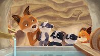 Mama Fuchs und Papa Dachs – Di, 11.11., 09:35 Uhr
