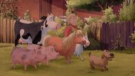 Lieselotte – Hund hat auf der Wiese etwas entdeckt und zeigt es aufgeregt den anderen.