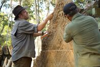 Expedition Unknown - Mythen auf der Spur – Gastgeber Josh Gates arbeitet mit einem lokalen Team an der Freilegung von Artefakten im Prasat Krachap