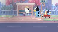 Bluey – Fr, 08.05., 18:05 Uhr