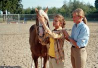 Alina – Pferdeflüsterin Andrea Kutsch ist zufrieden mit Alinas (Marett Katalin Klahn) Arbeit mit dem traumatisierten Silverado. Die 15-jährige macht sich gut im "Pferdeflüstern".