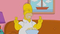 Die Simpsons – Homer