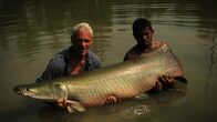 Fluss-Monster – On the left: Jeremy Wade.