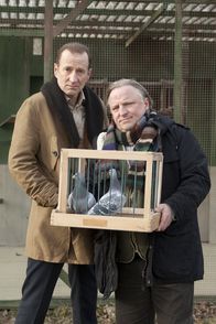 Das Millionen-Rennen – Ronny (Peter Lohmeyer,l.), Matthias (Axel Prahl) und die beiden Brieftauben Liz und Richard.