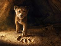 Der König der Löwen – Der König der Löwen - Artwork