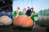 Alaska - Im Land der Bären – Gemüseanbauer Champion Dale Marshall mit seinem Riesenkürbis und den Kürbisfeen auf der Alaska State Fair, in Palmer.