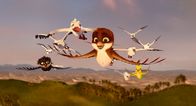 Überflieger - Kleine Vögel, großes Geklapper – Richard ist mit seiner Storchenfamilie vereint.
