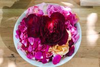 Schmeckt das oder kann das weg? – Rosen.