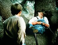 Die Waltons – Jason (Jon Walmsley, l.) entdeckt Boone (Morgan Woodward, r.) im Wald, der sich dort versteckt hat, um heimlich Whiskey zu brennen ...