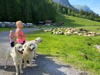 Schweizer Hundegeschichten – Mo, 29.09., 21:07 Uhr