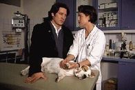 Kommissar Rex – Tierärztin Sonja Koller (Daniela Gaets) untersucht den Beagle, den Richie Moser (Tobias Moretti) ihr gebracht hat.