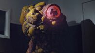 Cyst – Zystenmonster