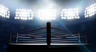 WWE Rivals – Ein Boxring - Wrestlingring