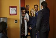 Navy CIS: L.A. – Überraschend für alle, wird Tony (Michael Weatherly, r.) plötzlich Vater. Doch wie werden Abby (Pauley Perrette, l.), McGee (Sean Murray, 2.v.l.), Bishop (Emily Wickersham, M.) und Jimmy (Brian Dietzen, 2.v.r.) mit dieser Neuigkeit umgehen?