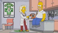 Die Simpsons – Die Simpsons (2016)