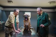 Hubert ohne Staller – Hubert (Christian Tramitz, l.) und Girwidz (Michael Brandner, r.) treten auf der Stelle. Wie finden sie nun die verschwundene Leiche? Spürhund "Otto" soll das Problem lösen.