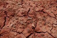 Jurassic C.S.I. – Sa, 05.07., 17:50 Uhr