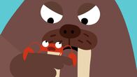 Animanimals – Das Walross mag nicht gezwickt werden.Â