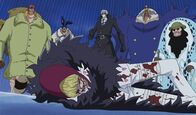 One Piece – Corazon (vorne)